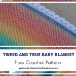 Colorful crochet baby blanket with a white scalloped edge, featuring a gradient of pink, yellow, blue, and orange hues. Included is a free crochet pattern to create this vibrant piece or even match it with a cozy pillow design.