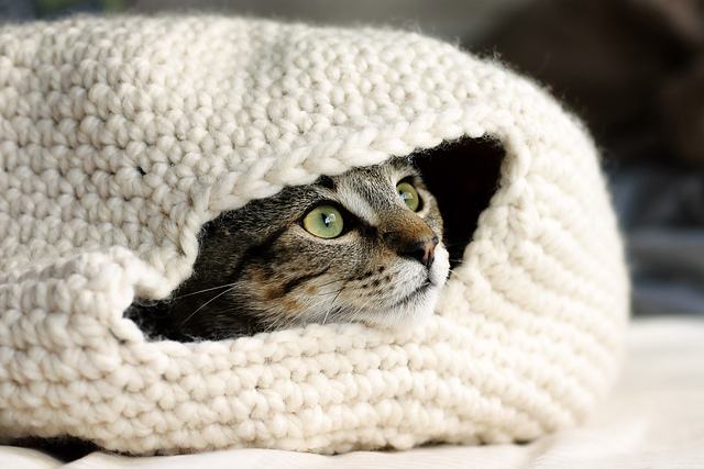 A tabby cat with green eyes peeks out from a hole in a knitted cream-colored Nest Cat Bed, enjoying its cozy comfort.