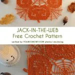 This crochet pattern showcases orange pumpkins and a spider web design, all beautifully surrounded by crocheted acorns and decorative figures in shades of ochre. Additionally, the collection includes playful shell stitch beanies to complete the autumnal ensemble.