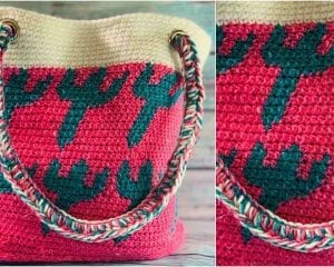 Cacti Bag Free Crochet Pattern