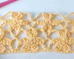 Flower Mesh Free Crochet Pattern