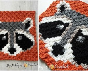 Racoon C2C Square Blanket Free Crochet Pattern