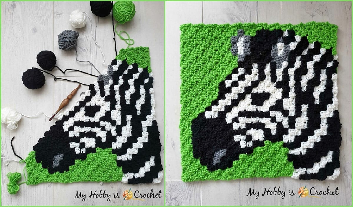 Explore this delightful crochet project featuring a striking zebra head on a vibrant green background. Complete with yarn and hooks beside it, this exquisite creation comes to life through the C2C Crochet technique.