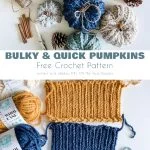 Crocheted pumpkins in various colors with pinecones and yarn balls, plus a knitting swatch sample with labeled yarn skeins. Text reads: 