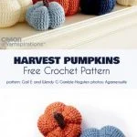 A variety of crocheted pumpkins in different colors are displayed, with leaves in the background. Text indicates a free crochet pumpkin pattern available from Caron at Yarnspirations.