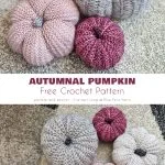 A collection of knitted pumpkins in gray, pink, and purple rests on a textured multicolored carpet. This charming setup is labeled 