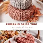 Three crochet pumpkins stacked on a wooden tray with dried leaves, showcasing a free pattern for the 