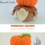 A crocheted gnome with an orange pumpkin-shaped hat sits on a white background. Text reads: 
