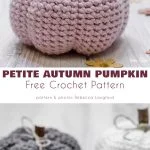         Crocheted pumpkins in pastel pink, gray, and white grace the surface. The label reads 