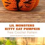 A variety of crocheted pumpkins, crafted using delightful crochet pumpkin patterns, showcase different expressions and colors as they sit on a wooden surface. Each pumpkin is adorned with large googly eyes.