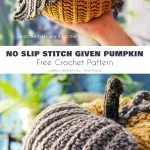 Discover a charming crocheted pumpkin with a gray, textured stem and playful curly tendrils, highlighted against a vibrant background. The image invites you to explore a free crochet pumpkin pattern exclusively from Crochet Highway.