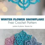 Five beautifully crocheted snowflake designs in various colors are artfully displayed on a surface, with one elegantly hanging from a branch. Text reads, 