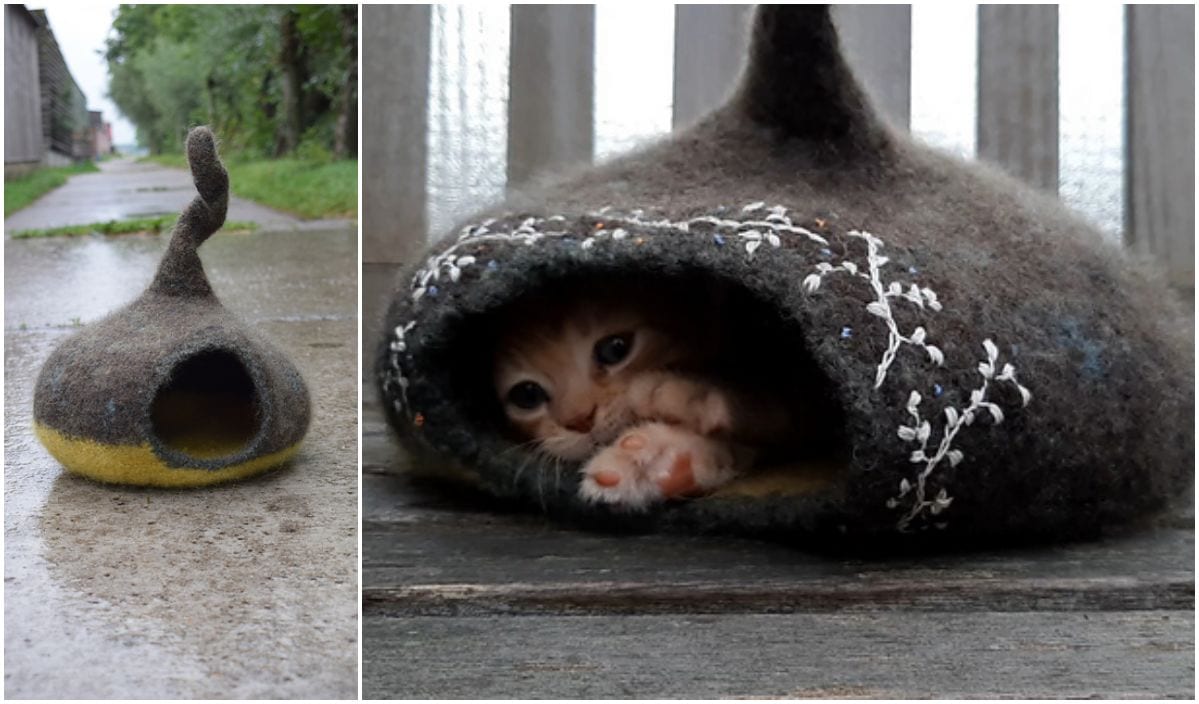 A small cat peeks out from a felted wool cat house with floral decorations, while another empty cat basket sits on the concrete surface.