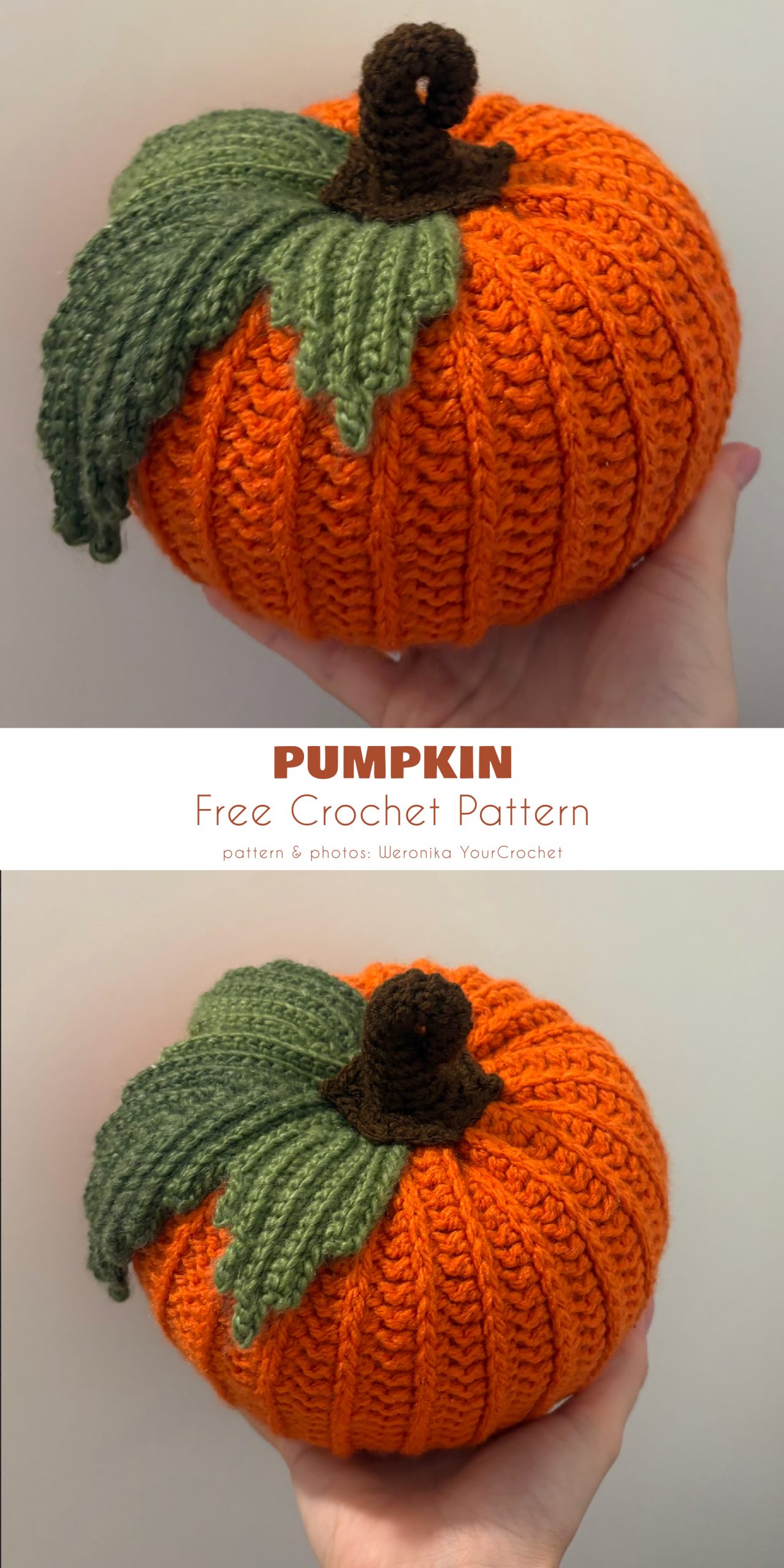Pumpkin Free Crochet Pattern