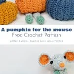 Crocheted mouse in orange and green next to two crocheted pumpkins, one blue and one orange. Even the cat wants a pumpkin hat! Text reads: 
