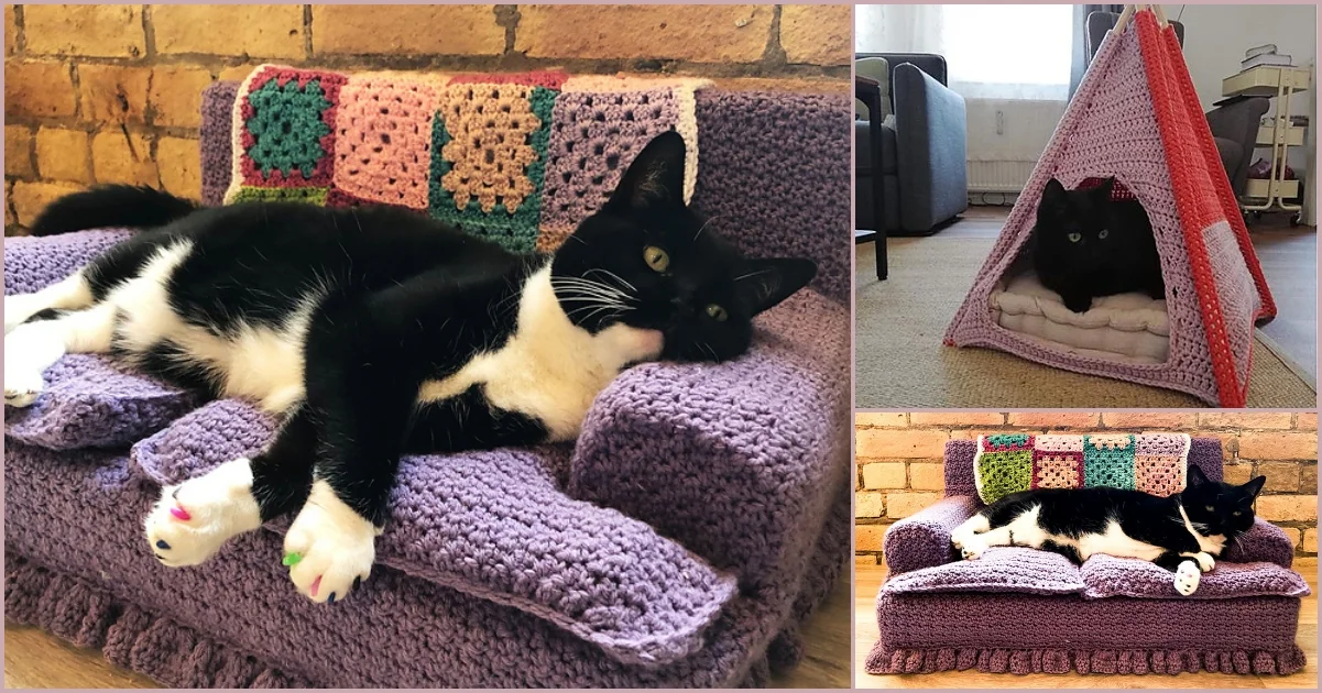 A black and white cat relaxes on a purple crocheted sofa, while nearby awaits its cozy red crocheted tent—a perfect cat bed for ultimate comfort.