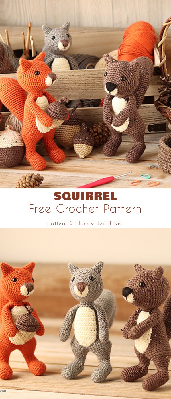squirrel