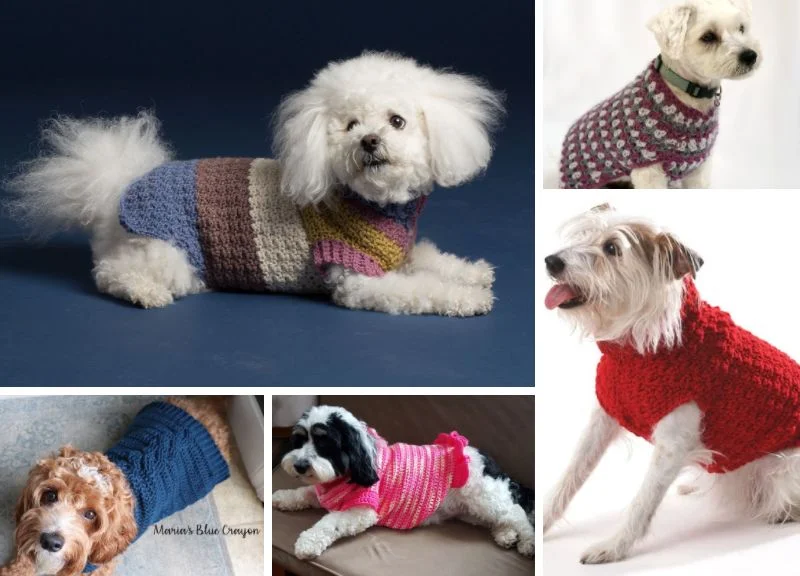 Five small dogs wearing colorful crochet sweaters strike various poses against different backgrounds.