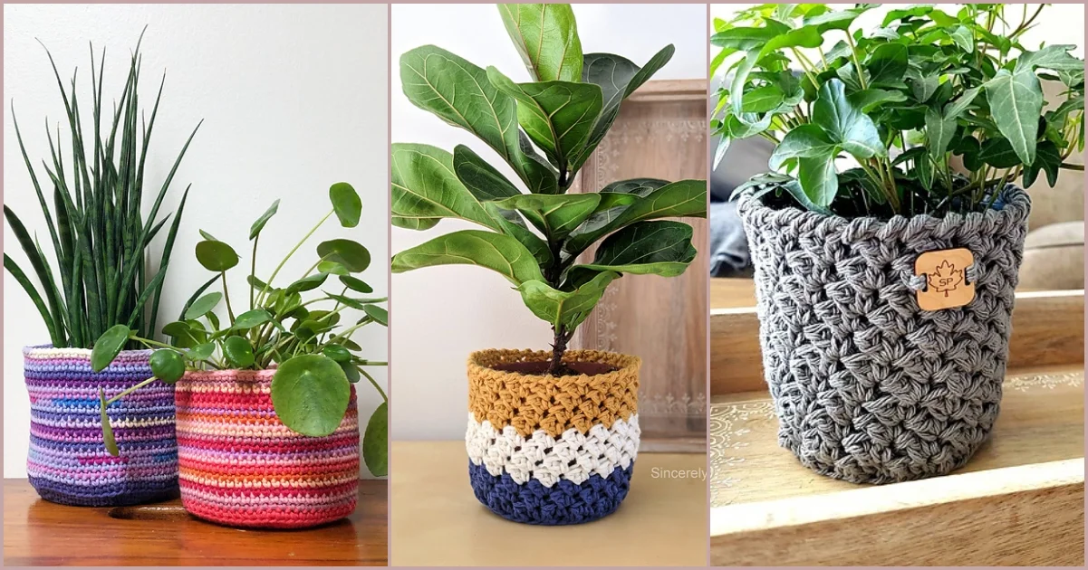 Three houseplants in crocheted pot covers: a tall plant in a striped design, a small one in a blue, white, and brown basket cover, and a leafy plant in a gray textured wrap on a wooden surface.