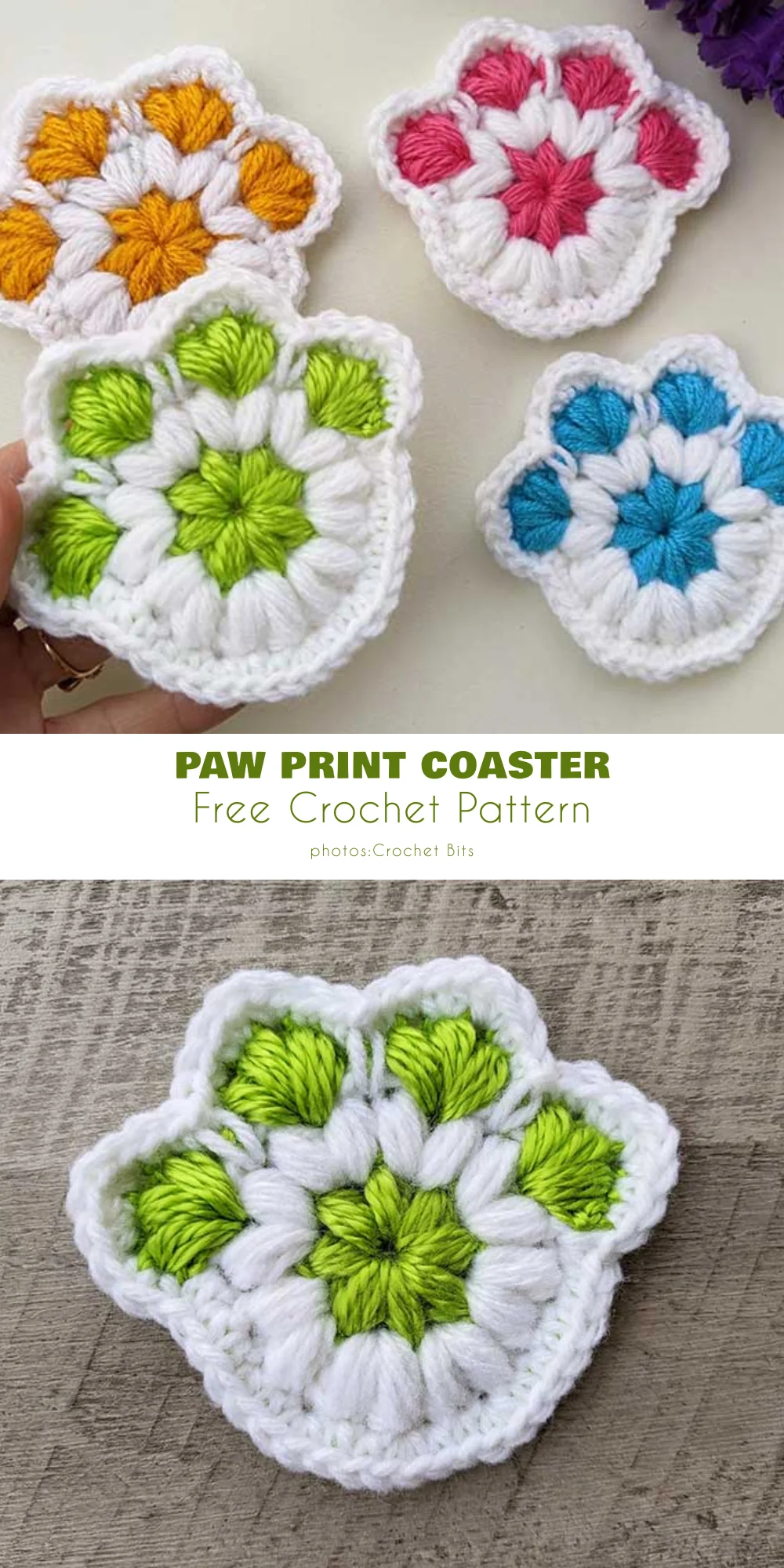 Animal coaster