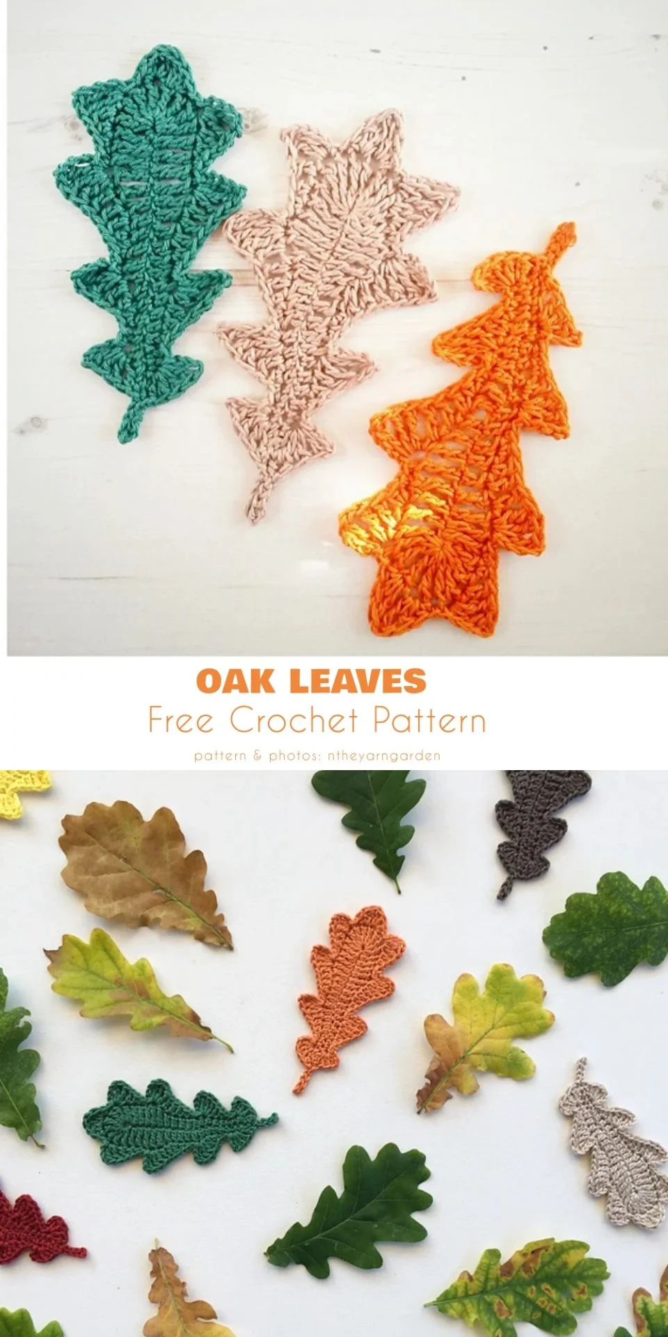 Oak Leaves