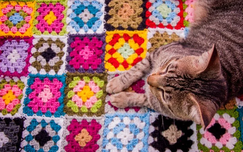 A tabby cat lounges peacefully on a cozy crocheted blanket, showcasing a vibrant pattern of multicolored squares. The charming design sparks inspiration for those curious about how to crochet a blanket themselves.