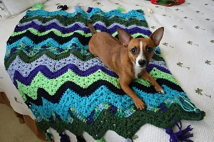 A small dog laying on a bed with a crocheted blanket.