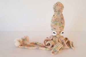 Hubble the Squid