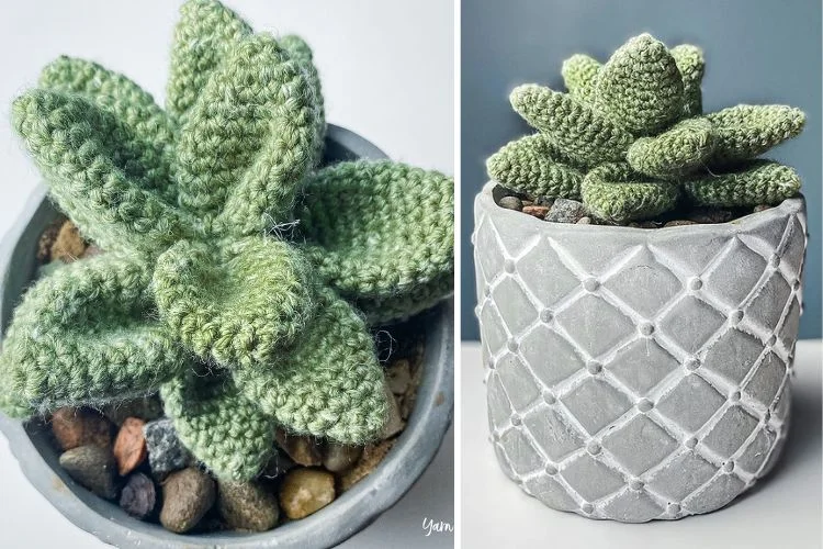 A crocheted succulent plant in a pot.