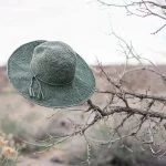 A green Cleo Wide Brim Fedora hangs on the branch of a leafless tree in a dry, outdoor landscape.