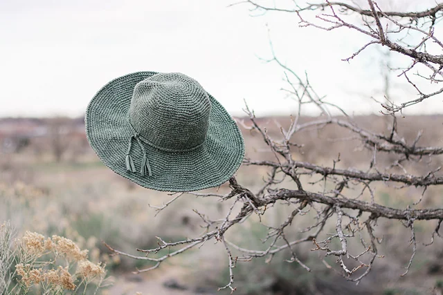 A green Cleo Wide Brim Fedora hangs on the branch of a leafless tree in a dry, outdoor landscape.