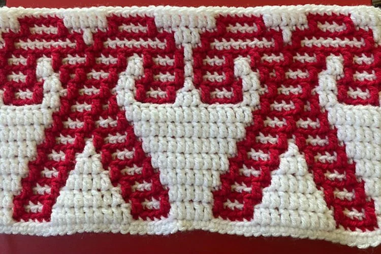 A crocheted dishcloth with two candy canes on it.