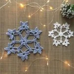 Winter Flowers Snowflake