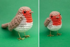 European Robin