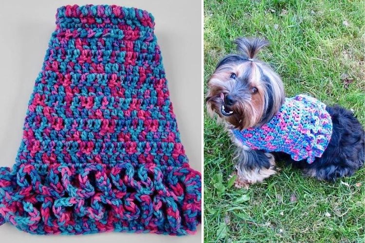 Two pictures of a dog wearing a crocheted sweater.