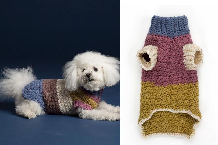 A dog wearing a knitted sweater.