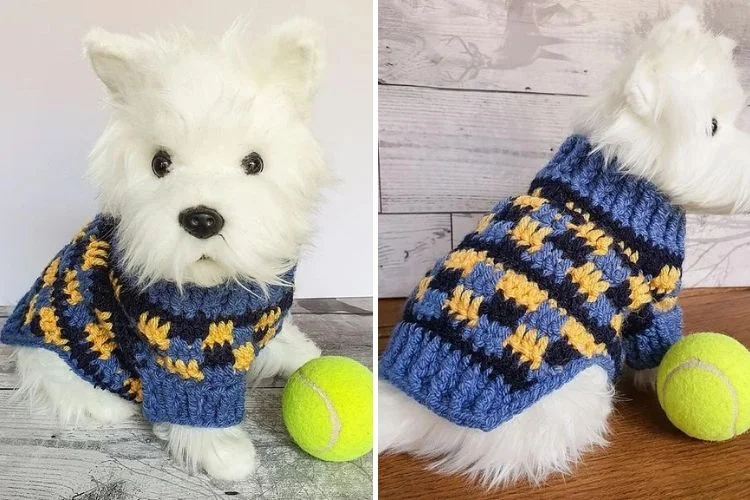 Two pictures of a dog wearing a sweater and tennis ball.