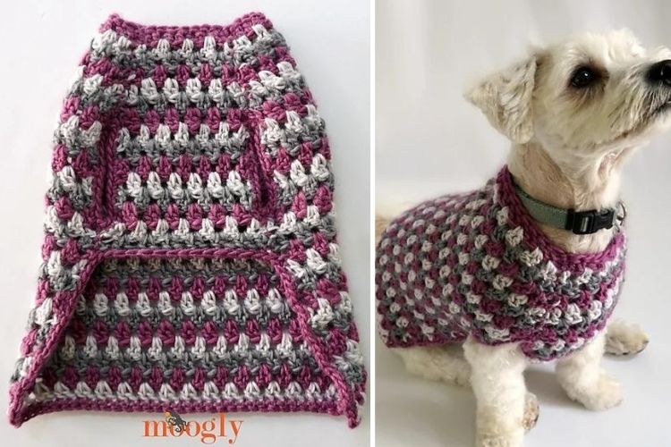 A dog is wearing a crocheted sweater.