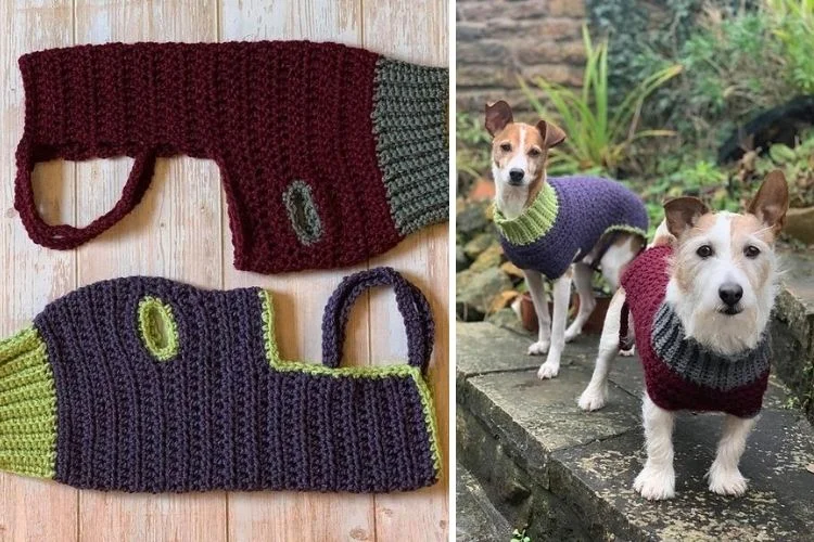 Two pictures of a dog wearing a crocheted sweater.