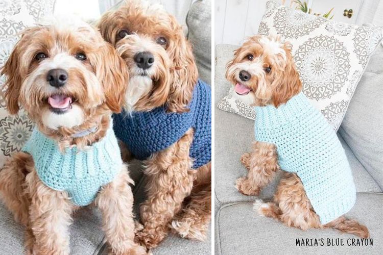 Two dogs wearing crocheted sweaters on a couch.