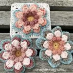 Water Lily Square
