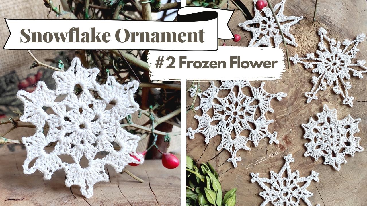 Crocheted crystal snowflake ornament with intricate patterns displayed on wood, labeled "Snowflake Ornament" and "#2 Frozen Flower.