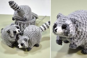 Racoon